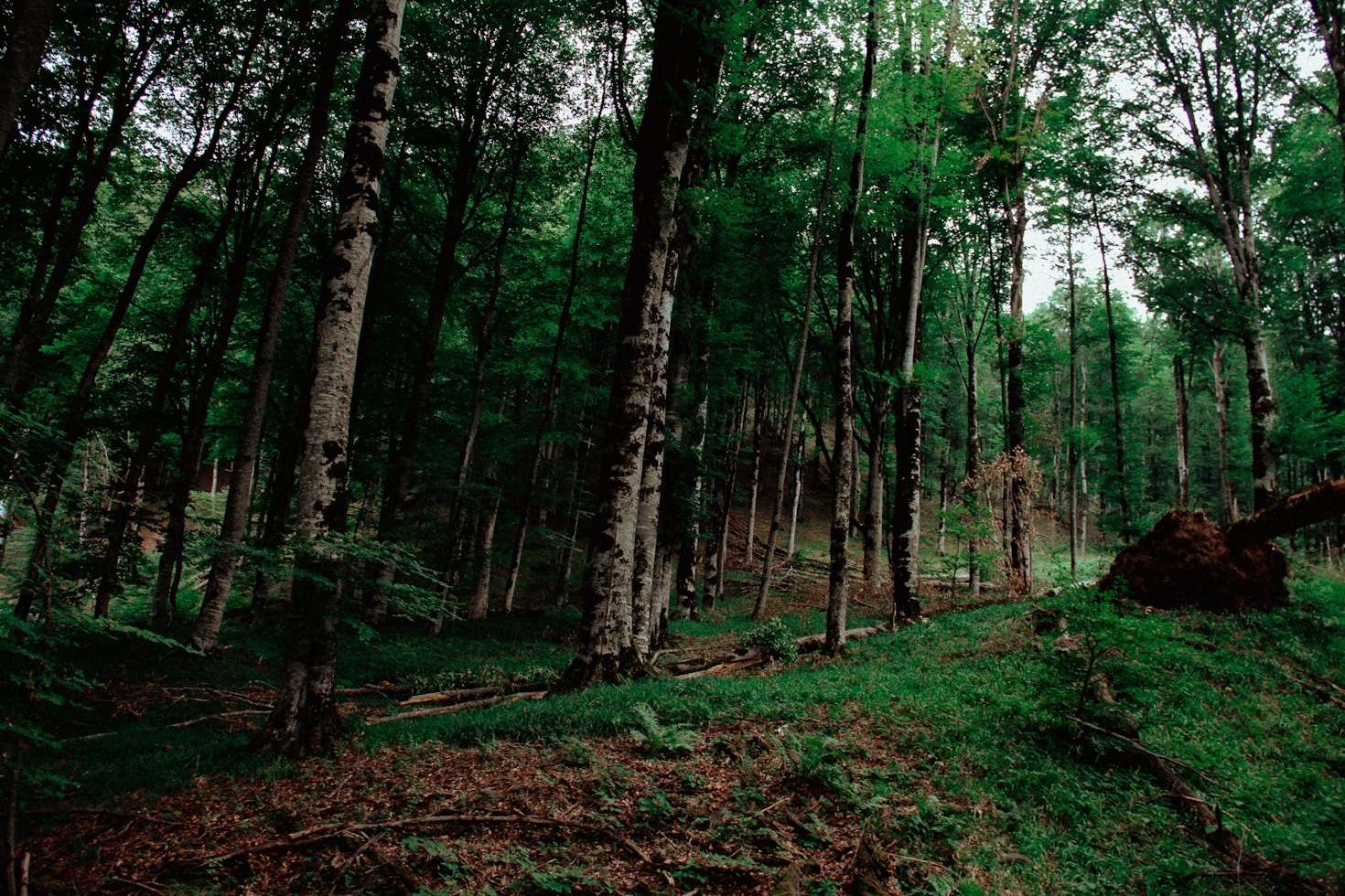 De bästa platserna för landskapsfotografi