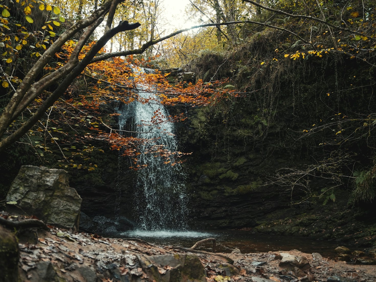 Inspireras av naturens mångfald i fotografi